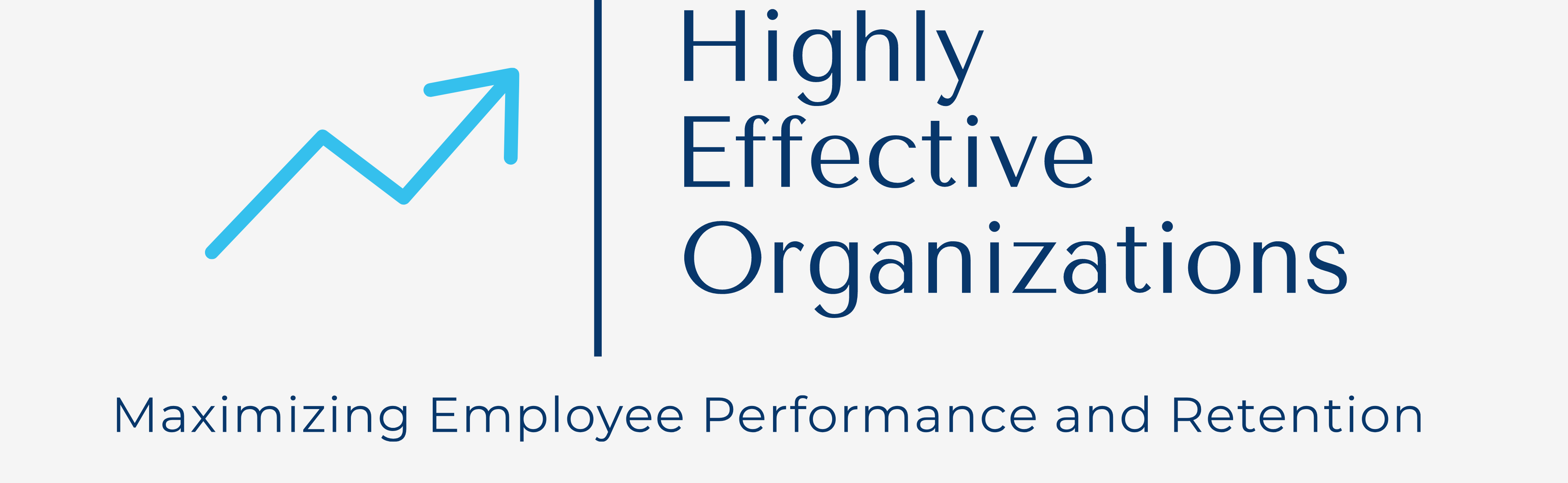 Highly Effective Organizations